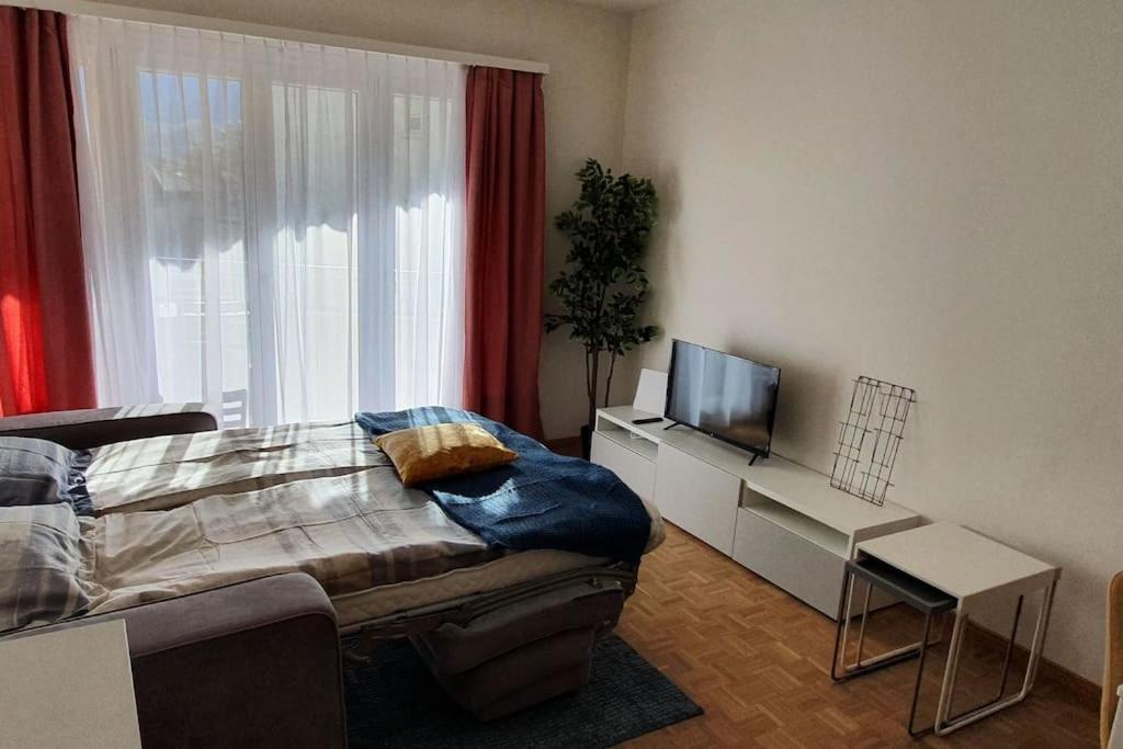 Apartment Via San Carlo In Muralto-Locarno Экстерьер фото