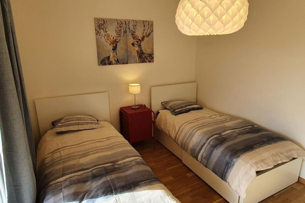 Apartment Via San Carlo In Muralto-Locarno Экстерьер фото